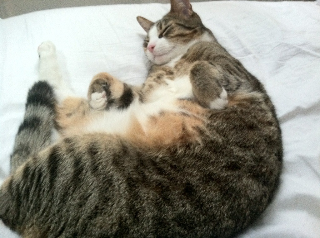 【“悬空球”规则试点】战术空间大开，创新玩法激发新战斗，悬空的概念