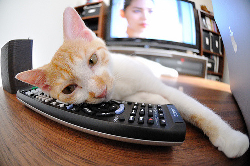 佩德里续约巴塞罗那至2029年，佩德里 巴塞罗那