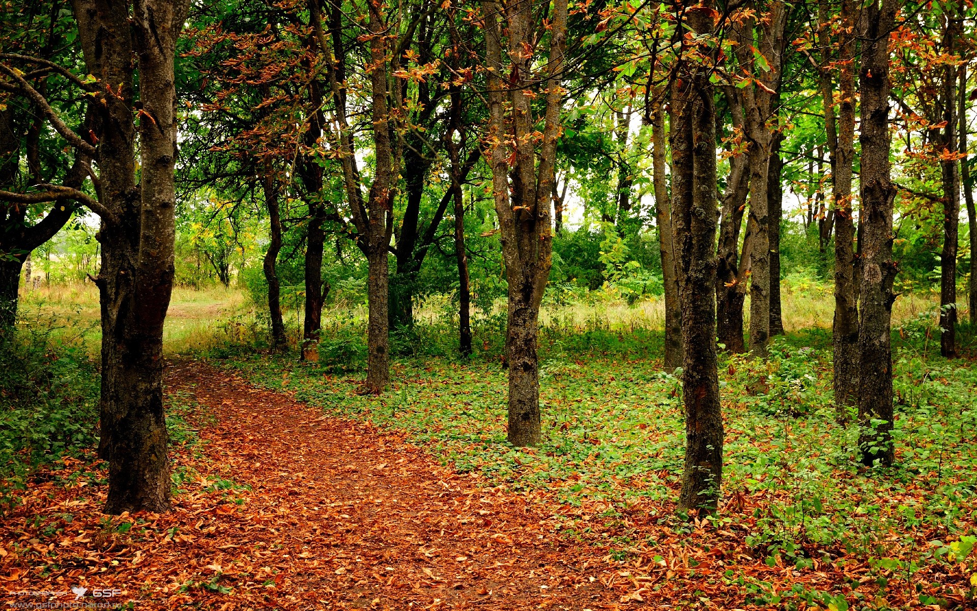 开云体育官方网站登陆-NBA“绿色战线”上的新动作：环保公益不断推进，绿色环保公益广告图片