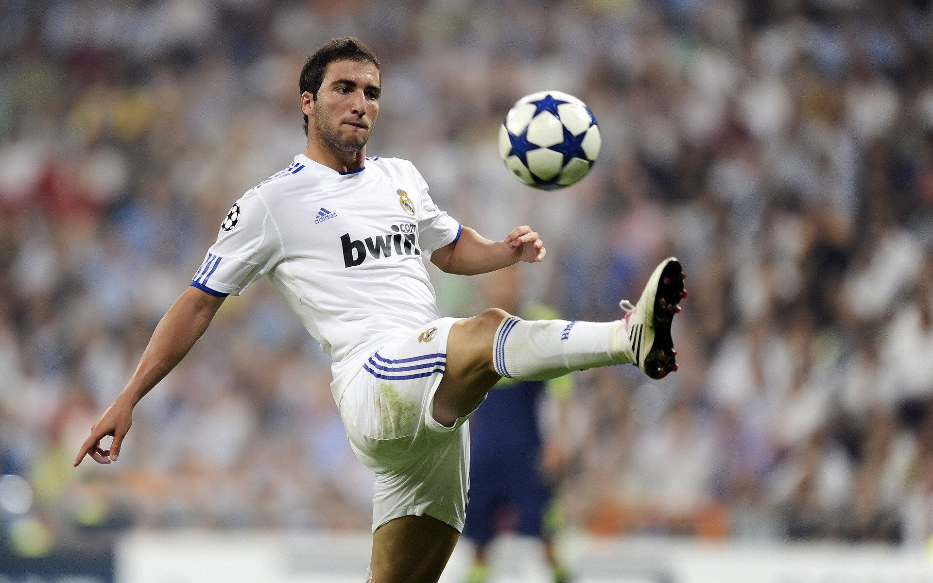 开云体育在线登入-“帕布罗·马特拉：阿根廷美洲狮队的防守壁垒与队长精神”